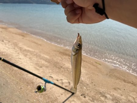 今季の初投げにて初物を狙ってきました