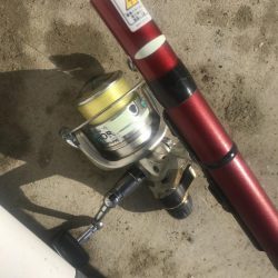 朝マズメのアジ釣り