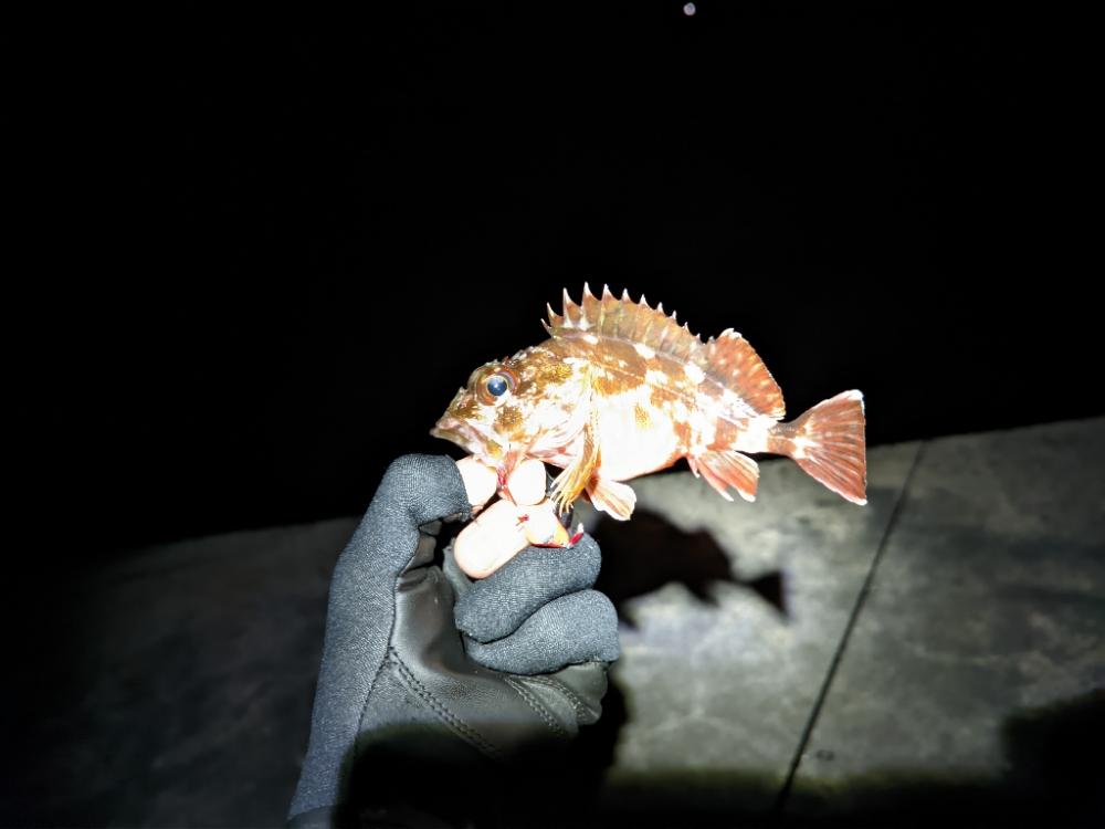 悪状況での釣り