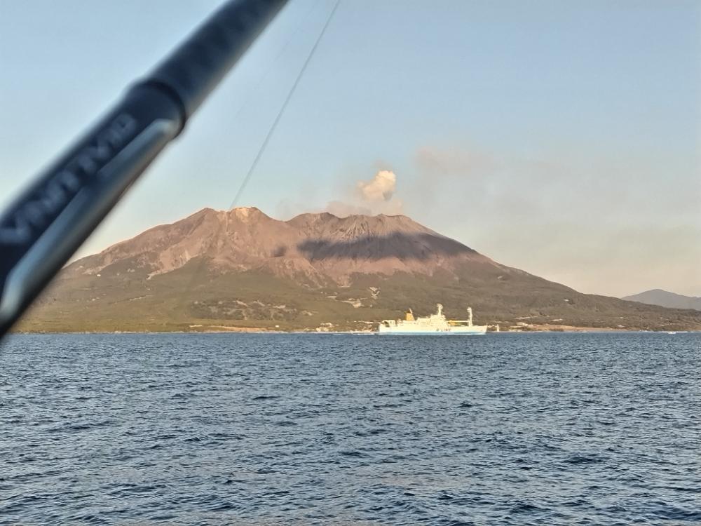 ちびオオモンハタ釣れました。