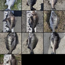 イチノ兄弟（兄）釣果！