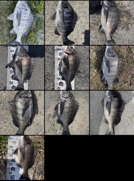 イチノ兄弟（兄）釣果！