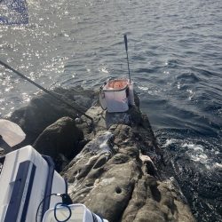 たかたかの釣り日記