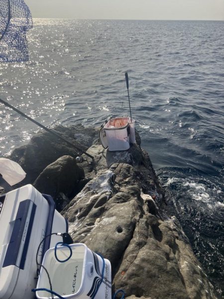 たかたかの釣り日記