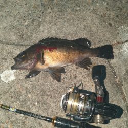 始まったかな？