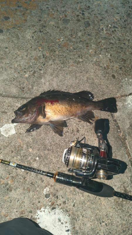 始まったかな？