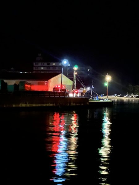 今年初の日本海!!