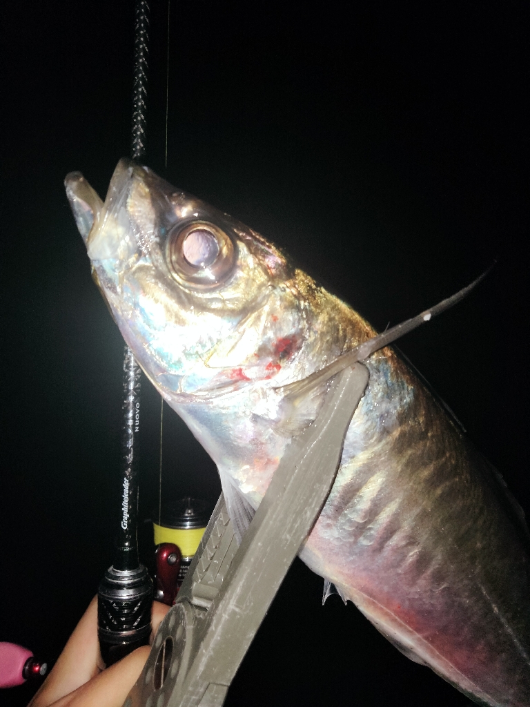 自己記録更新！