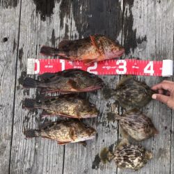 筏釣り(チヌ、コフダイ、五目