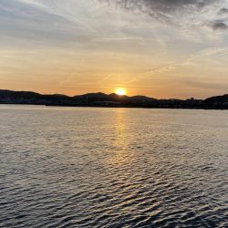 サビキ釣りで良型サイズのマイワシが大量に釣れる！！