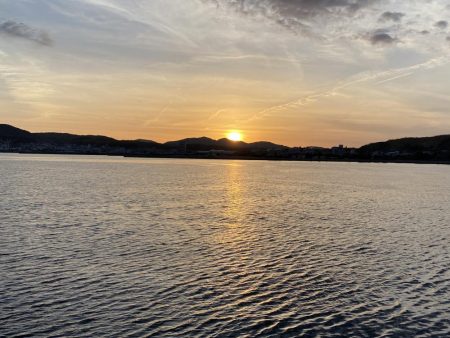 サビキ釣りで良型サイズのマイワシが大量に釣れる！！