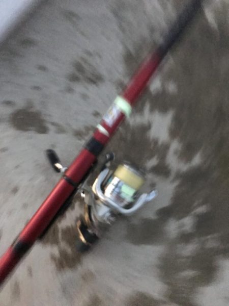 夕マズメのアジ釣り