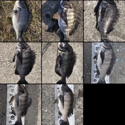 イチノ兄弟(兄)釣果!