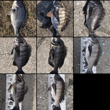 イチノ兄弟(兄)釣果!