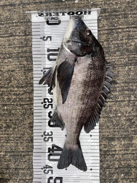 イチノ兄弟（兄）釣果！