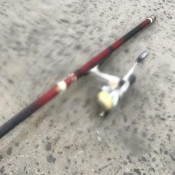 朝のアジ釣り絶好調