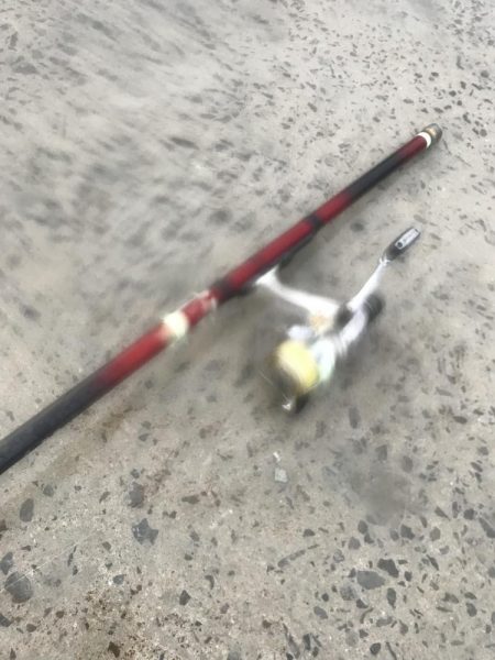 朝のアジ釣り絶好調