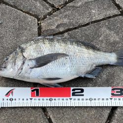 貴方でしたか…