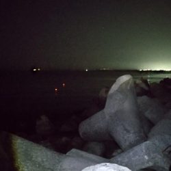 尺アジおらずも春到来