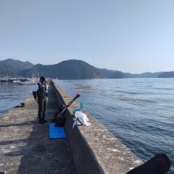 リュウグウノツカイ