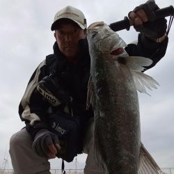 プチsalt water game