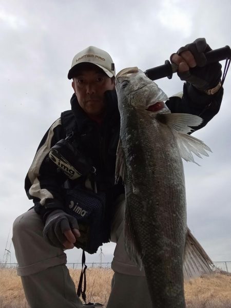 プチsalt water game