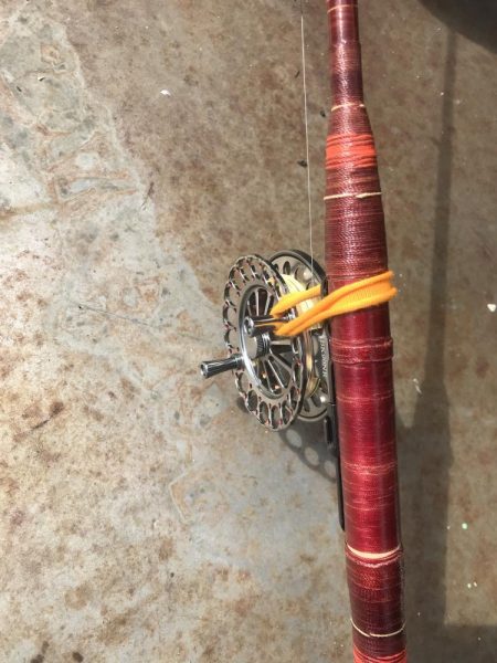 ヘチ釣り調査でキビレGET