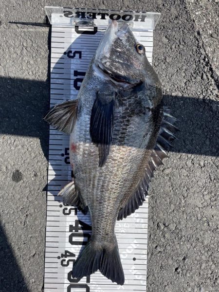 イチノ(兄)釣果!