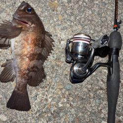 デイメバリング