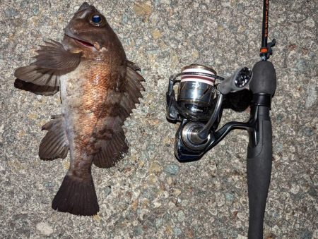 デイメバリング