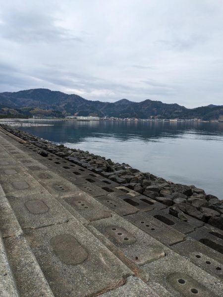 アジング＋α‬