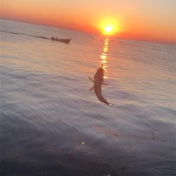 2023 佐渡ヶ島 ライトゲーム 3月19日