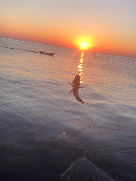 2023 佐渡ヶ島 ライトゲーム 3月19日