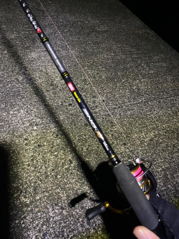 短時間アジング