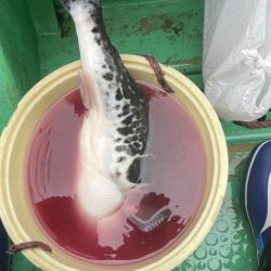 雨・風・染み込むカッパ（笑）