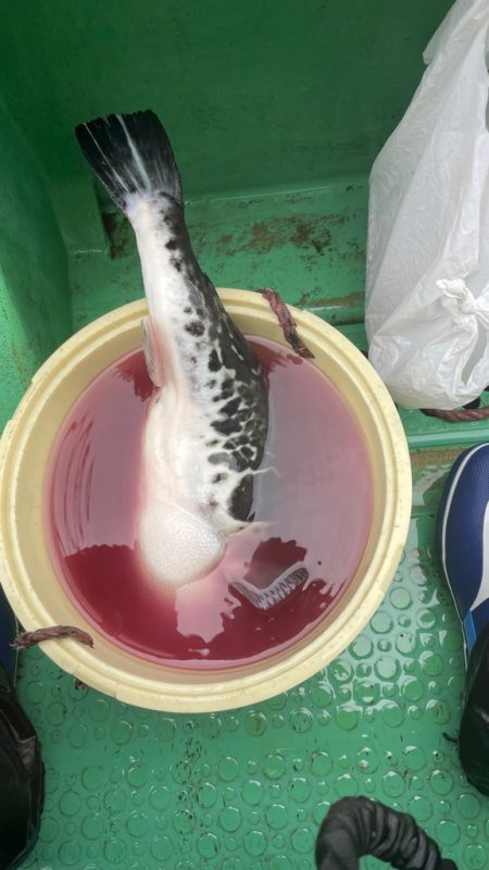 雨・風・染み込むカッパ（笑）