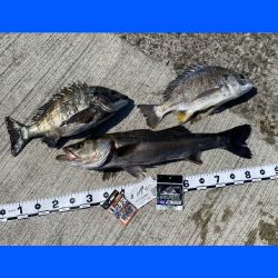 先日の雨の影響は