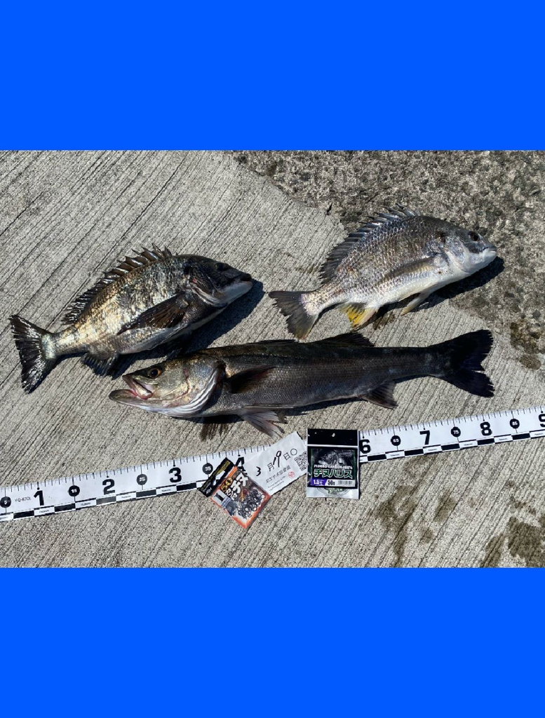 先日の雨の影響は