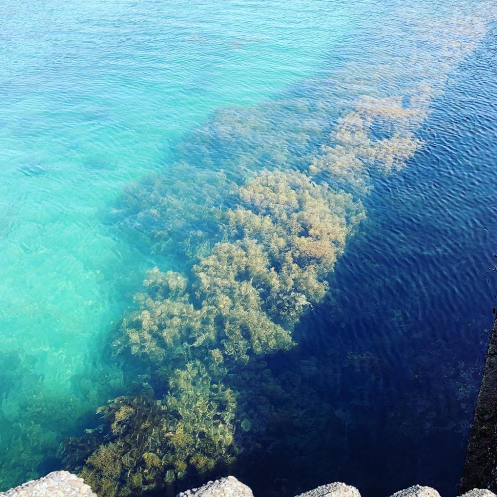 期待薄。調査に。