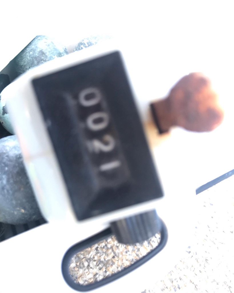 室津カットウ釣り