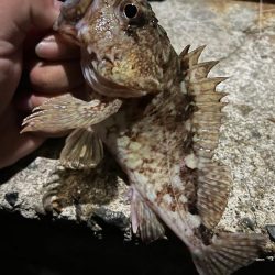 寒いのでワンドで五目