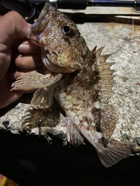 寒いのでワンドで五目