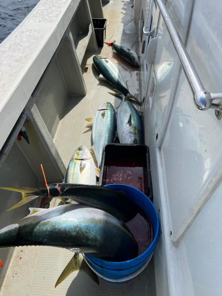 丹後沖ジギング