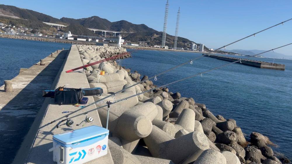 淡路島の春カレイ