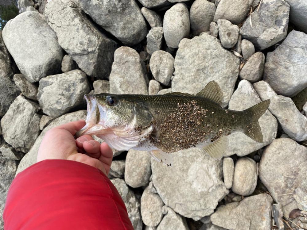 今年初釣行