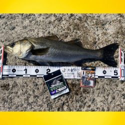 スパッと消えるウキ