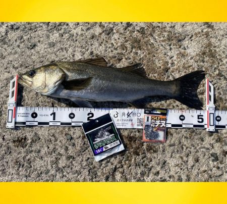 スパッと消えるウキ