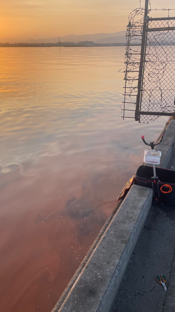 赤潮の中でフカセ釣り!