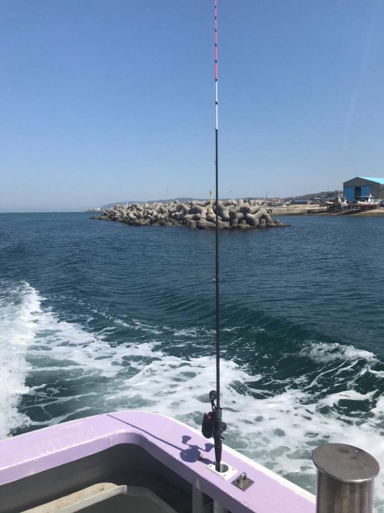 産卵モード?室津カットウフグ