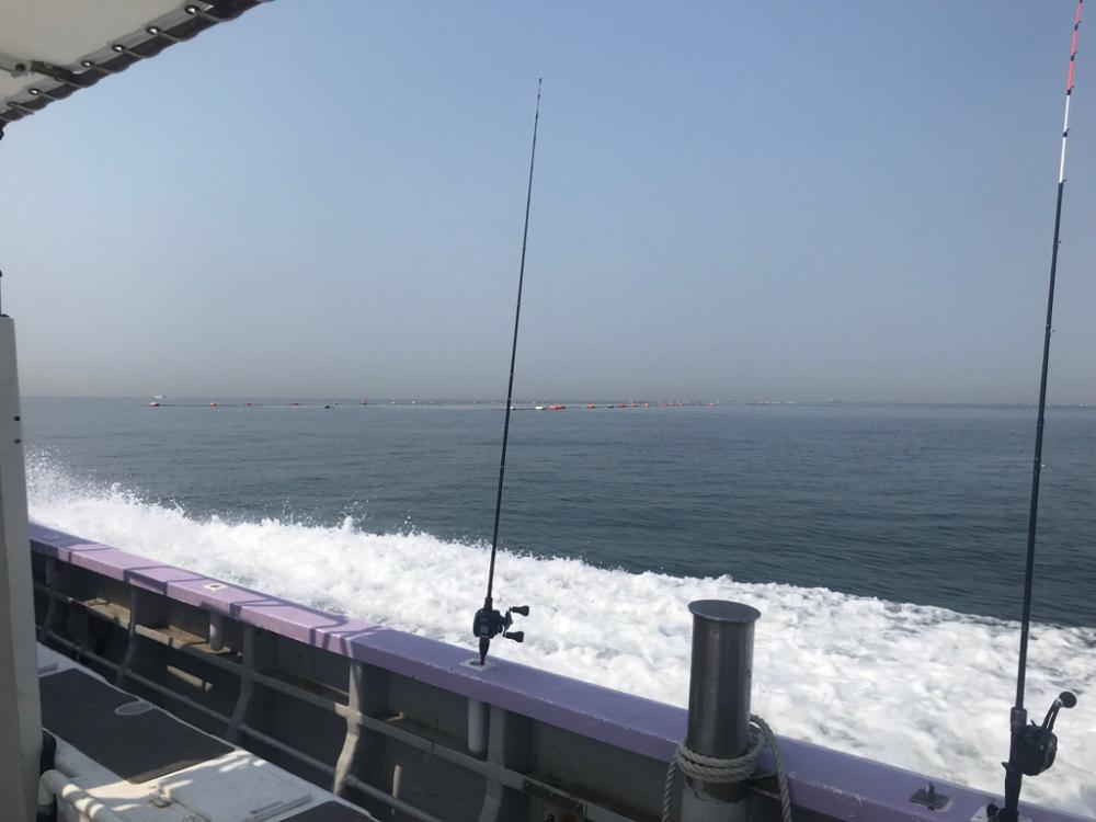 室津カットウ釣り